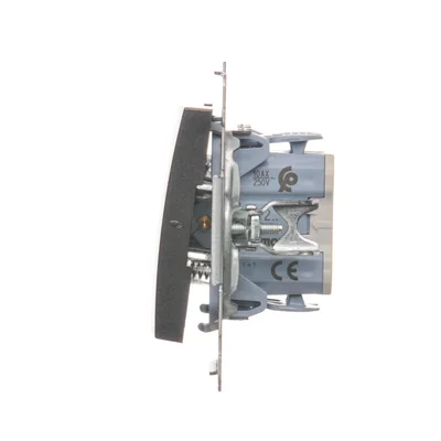 Dvojité spínací tlačítko bez piktogramu (modul) 10A 250V rychlospojky antracitové (kovové)