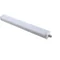 Eco Line I LED Linear Luminaire 40W 4800lm natural color 4000K 120° 123cm IP65