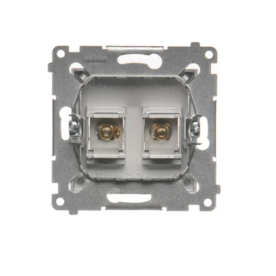 Einzelne Lautsprecherbuchse (Modul) silbermetallic