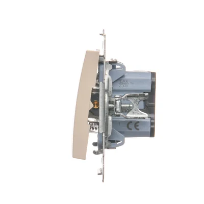 Einzeltaster mit LED-Hintergrundbeleuchtung ohne Piktogramm (Modul) 16A 250V cremefarbene Schraubklemmen