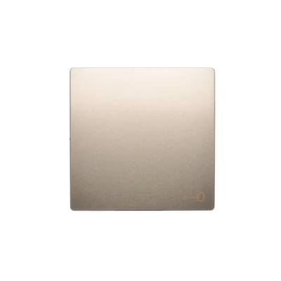 Einzelwippe mit Tastenpiktogramm, satiniert (metallic)