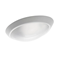 Eliptic 100W luminaire with white matt cover