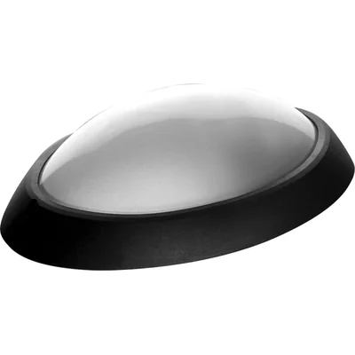 Elliptische 100W-Leuchte mit schwarz-matter Abdeckung