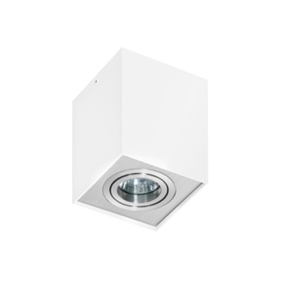 ELOY Ceiling lamp white/aluminium