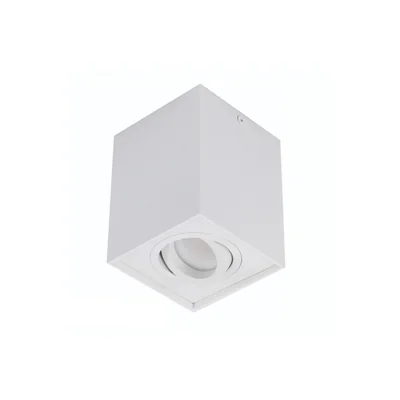 ELOY Lampada da soffitto bianca