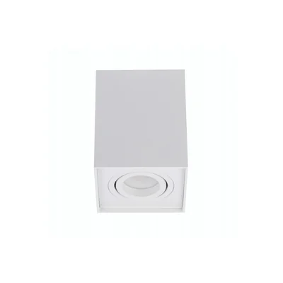 ELOY White ceiling lamp