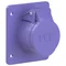 Embase droite 32A 2P 24V 50/60Hz IP44/54 (bride 75X85, entraxe 60X60), contacts nickelés