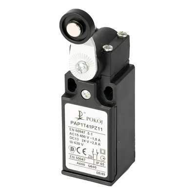 Endschalter PAP1 T41 PZ11