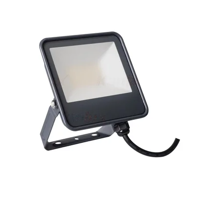 Faro a LED IQ-LED FL-30W-NW