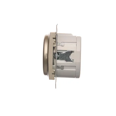 Ferngesteuerter Schalter mit Relais (Modul) 8(2)A 230V Gold (Metallic)