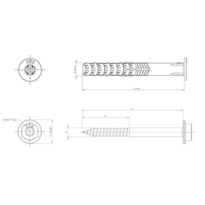 FFS Polyamide frame plug with short expansion zone, 10x50mm collar and hexagonal head screw, [OP 50]