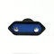 Fiche plate amovible 2,5A/250V isolation classe II. NOIR