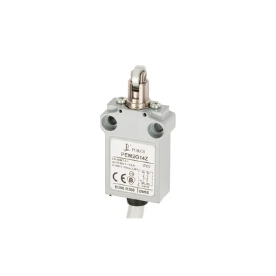 Finecorsa 1R 1Z a scatto con pulsante metallico e rullo perpendicolare in acciaio Ø12 PEM2G14Z A37-B85Z