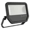 FLOODLIGHT 50 W LED floodlight 50W 5500lm 3000K WW IP65 black