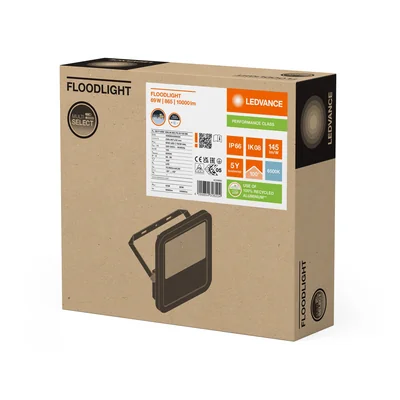 Floodlight FLOODLIGHT 100 69W 10KLM 865 PS SY100 BK