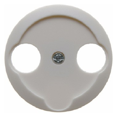 Front plate for 2-out antenna socket, white