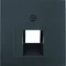 Front plate for UAE connection socket (telephone, computer) anthracite mat