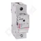 Fuse switch R 301 2 A 1P
