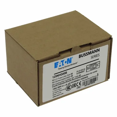 Fusibile industriale, classe gG/gL, 125A 500VAC