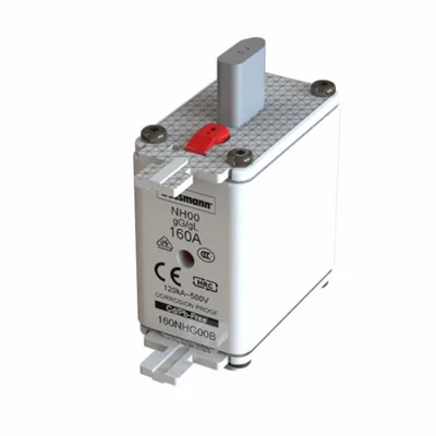 Fusibile industriale, classe gG/gL, 160A 500VAC