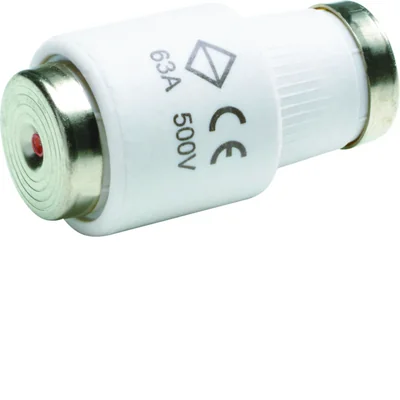 Fusibile rapido DIII/E33 Bi-Wts 63A 500V