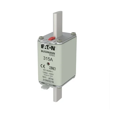 Fusible 315NHG1B NH1 315A 500V GL/GG à double indicateur
