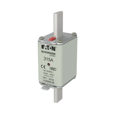 Fusible 315NHG1B NH1 315A 500V GL/GG à double indicateur