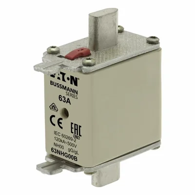 Fusible 63NHG00B NH00 63A 500V GL/GG à double indicateur