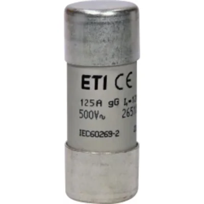 Fusible cylindrique CH22x58 gG 125A/500V