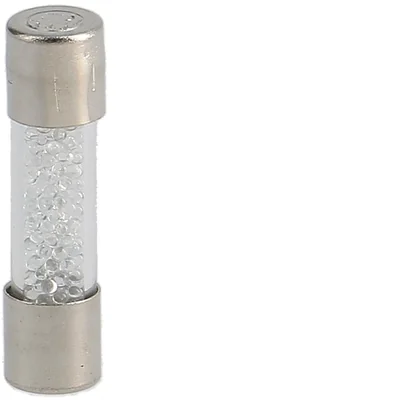 Fusible de acción lenta T5020D 5x20mm 6.3A