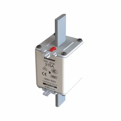 Fusible doble indicador GL/GG 315NHG2B NH2 315A 500V