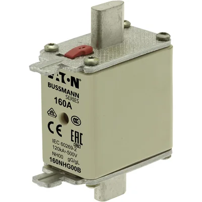 Fusible industriel, classe gG/gL 160A 500VAC