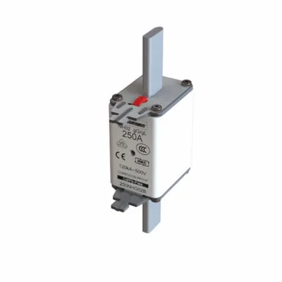 Fusible NH02 250 A 500 V à double indicateur GL/GG
