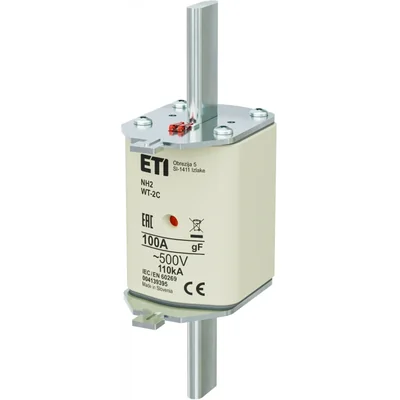 Fusible NH2C gF 100A/500V NH - rapide / KOMBI