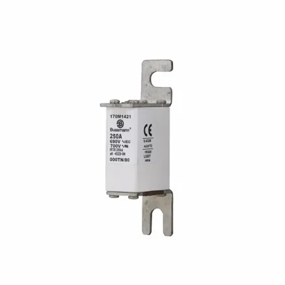 Fusible rapide 170M1421 250 A 690 V 000TN/80 AR UC