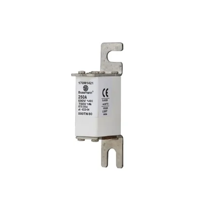 Fusible rapide 170M1421 250 A 690 V 000TN/80 AR UC