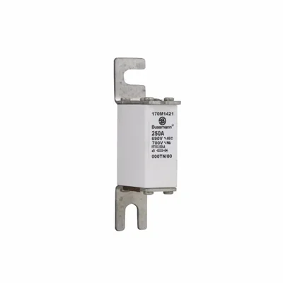 Fusible rápido 170M1421 250A 690V 000TN/80 AR UC
