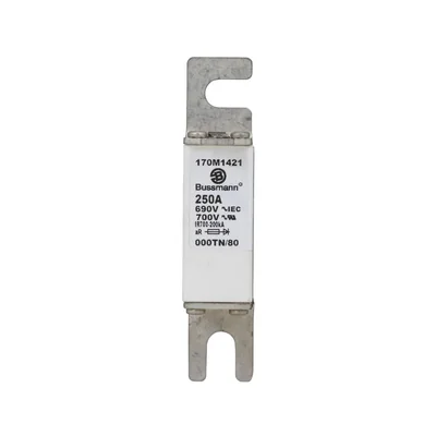 Fusible rápido 170M1421 250A 690V 000TN/80 AR UC