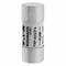 FWP-40A22F 40A 700V AC 22 x 58MM Zylindrisch für Halbleiter