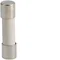 Glass fuse 5x20mm FF 250V 10A