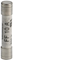 Glass fuse 6.3x32mm FF 10A 250V