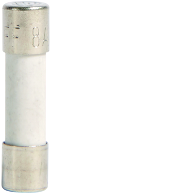 Glassicherung 5x20mm FF 250V 8A
