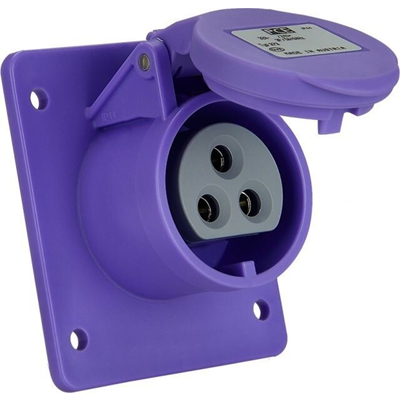 Gniazdo tablicowe proste 16A 2P 24V 50/60Hz IP44/54 (kołnierz 54X60, rozstaw otworów 44X44), styki niklowane