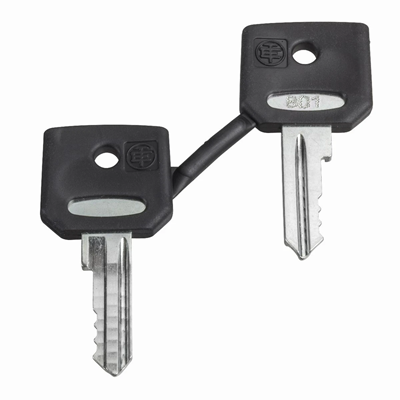 Harmony XB4 Set of 2 keys 421E