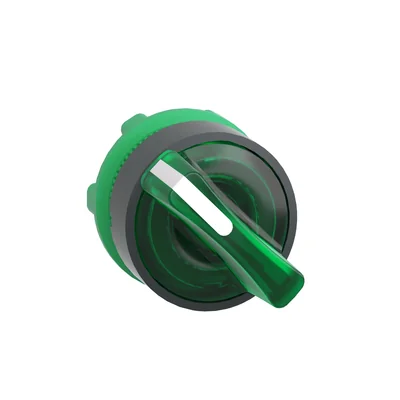 Harmony XB5 2-position auto-return switch head LED green plastic