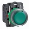 Harmony XB5 Green flat button without bulb 250V