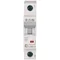 HN-B40/1 Circuit breaker 6kA, In=40A, B characteristic, 1-pole. HN series