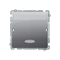Hotel switch with backlight 10A 2A inox, metallized