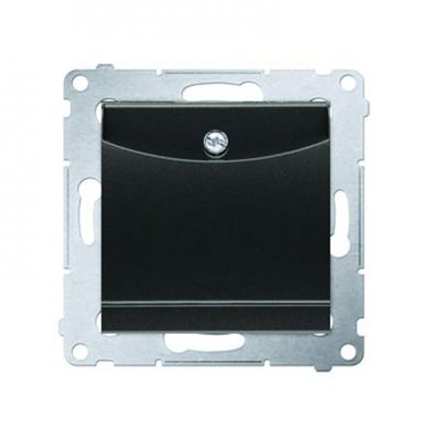 Hotel switch with backlight 10A (module) anthracite (metallic)