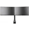 IIYAMA DS1002C-B1 2-Monitor-Halterung